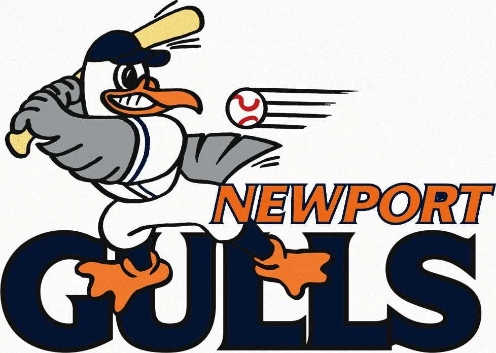 Newport Gulls