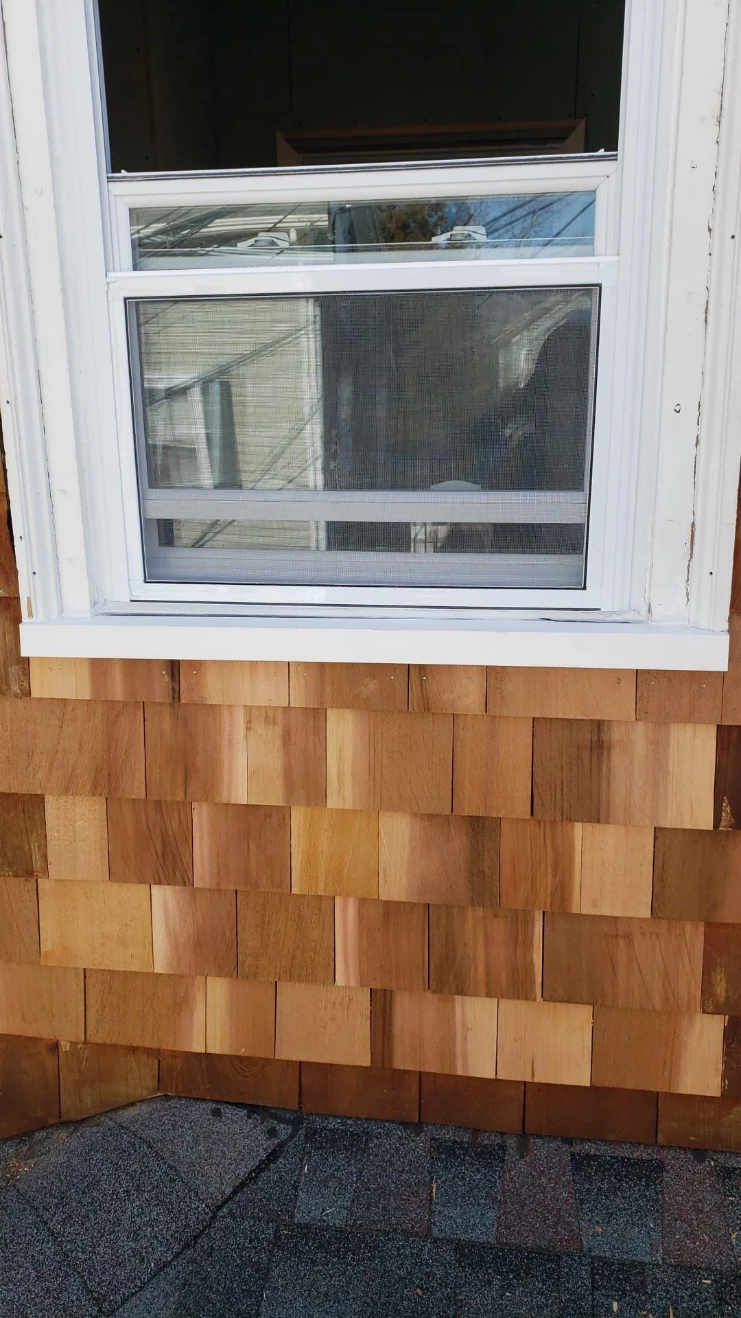Siding Repair